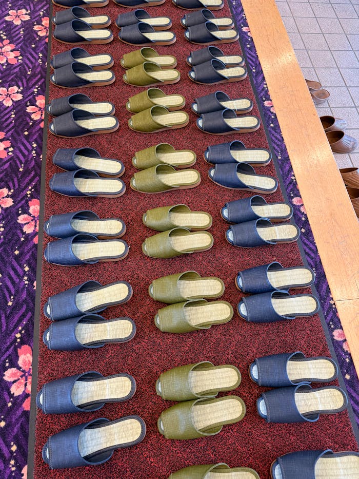Mastering the First Impression: Your intriguing post title goes here Row of neatly arranged slippers on colorful carpet indoors.